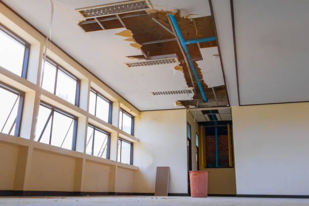 Best Water damage restoration near me  in Dublin, GA