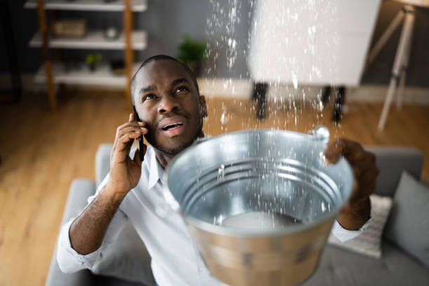 Best Water damage restoration specialists  in Dublin, GA