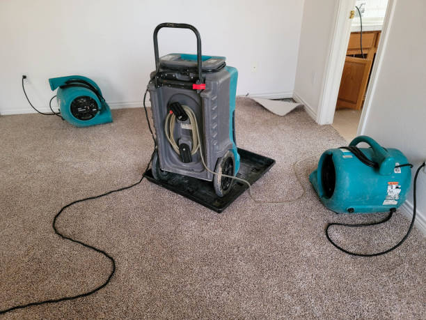 Best Professional water damage repair  in Dublin, GA