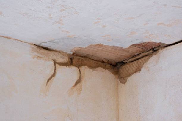 Best Ceiling water damage repair  in Dublin, GA