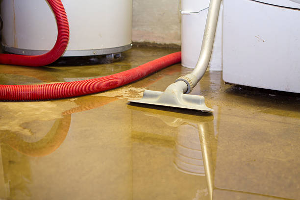 Best Flooded house restoration  in Dublin, GA
