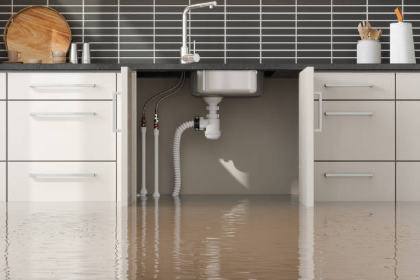 Best Water damage restoration insurance claims  in Dublin, GA