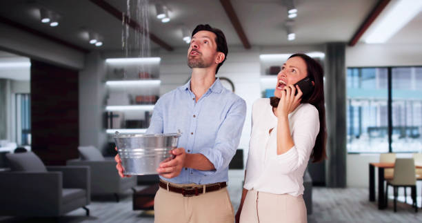 Best Carpet water damage restoration  in Dublin, GA